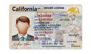 California driver license Psd Template