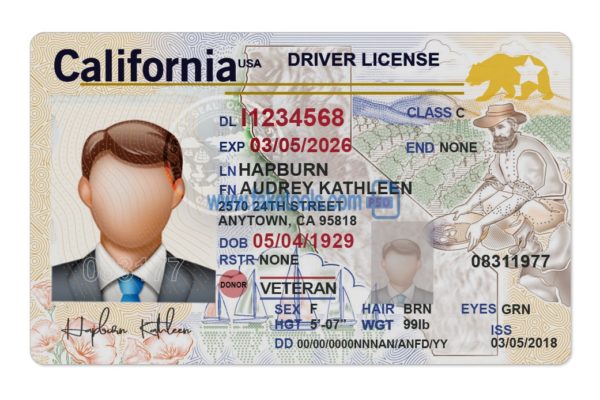 California driver / Driving license Psd Template