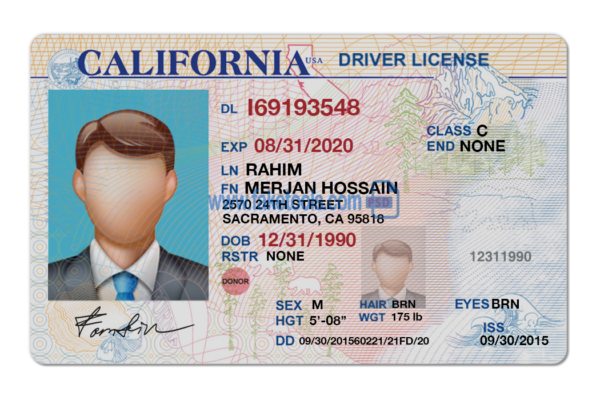 California driver license Psd Template