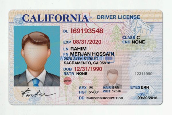 California driver license Psd Template