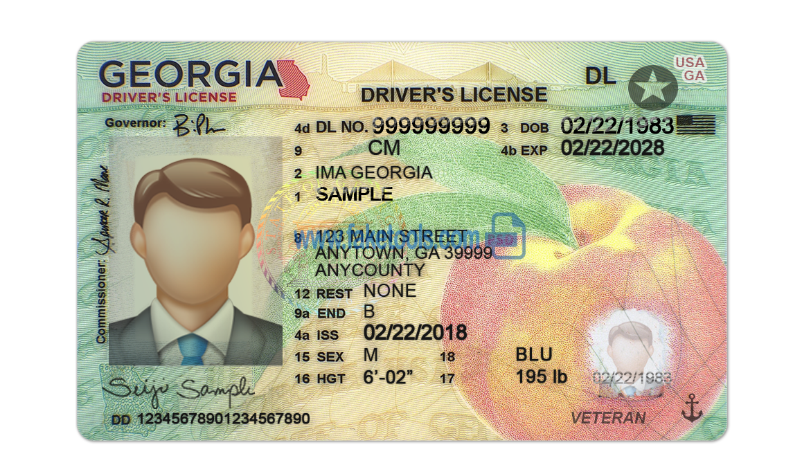 Georgia driver license Psd Template