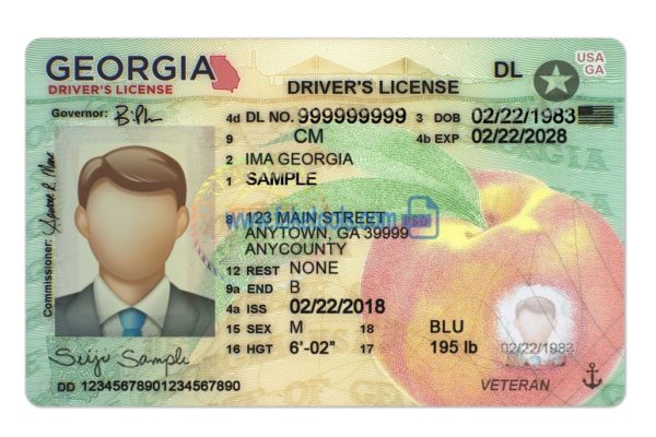 Georgia driver license Psd Template