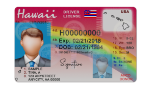 Hawaii driver license Psd Template