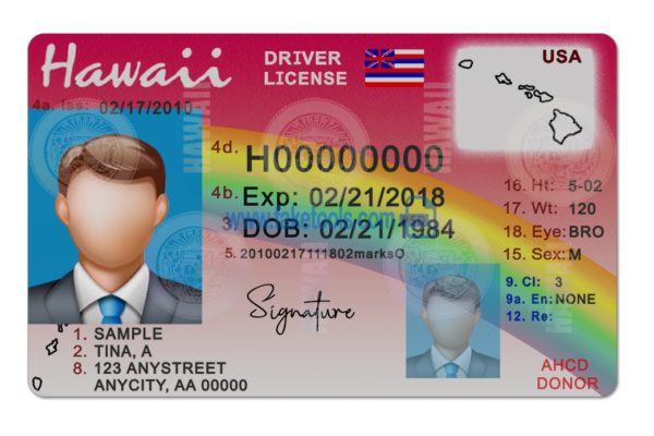 Hawaii driver license Psd Template