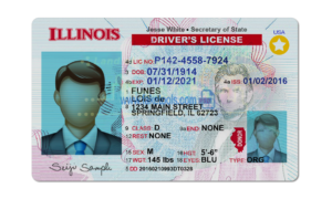 Illinois driver license Psd Template