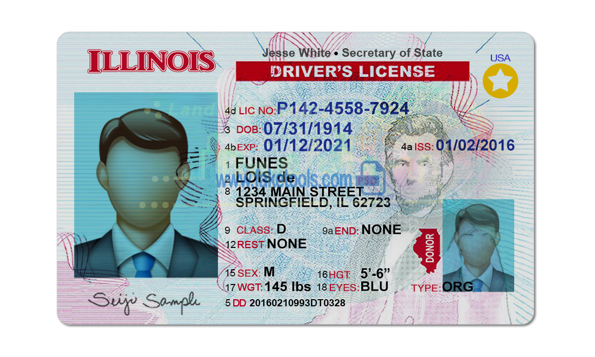 Illinois driver license Psd Template