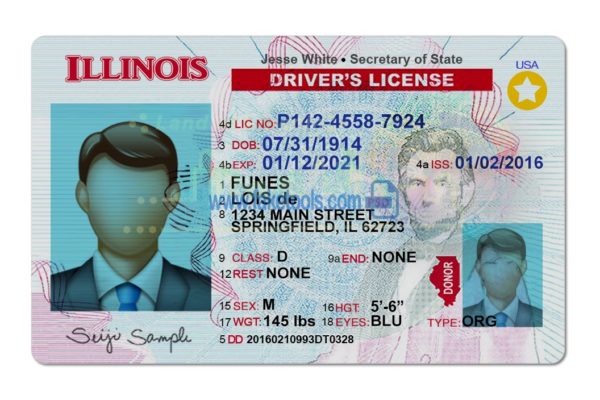 Illinois driver license Psd Template