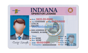 Indiana driver license Psd Template