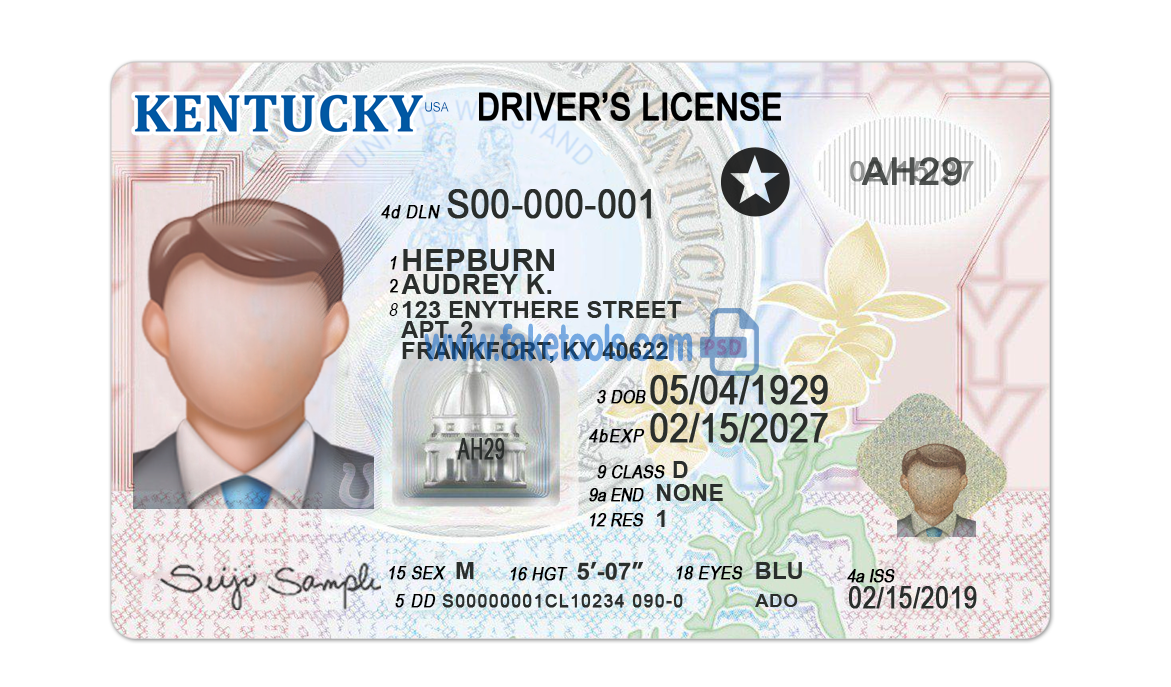 Kentucky driver license Psd Template