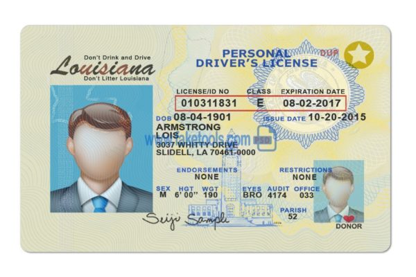 Louisiana driver license Psd Template