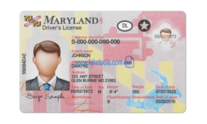 Maryland driver license Psd Template
