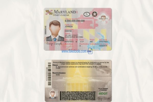 Maryland driver license Psd Template