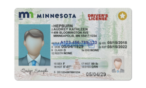 Minnesota driver license Psd Template