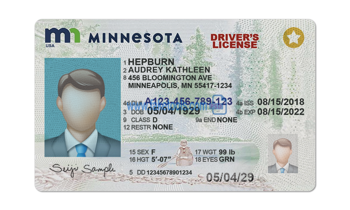 Minnesota driver license Psd Template