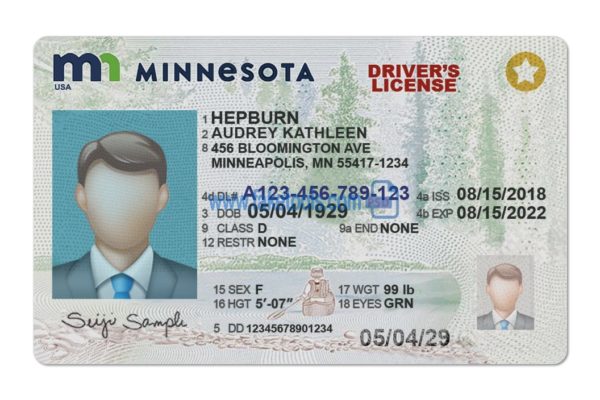 Minnesota driver license Psd Template