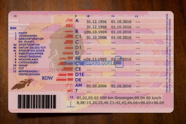 Netherland V1 back 3