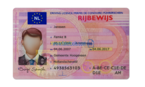 Netherlands driver license Psd Template