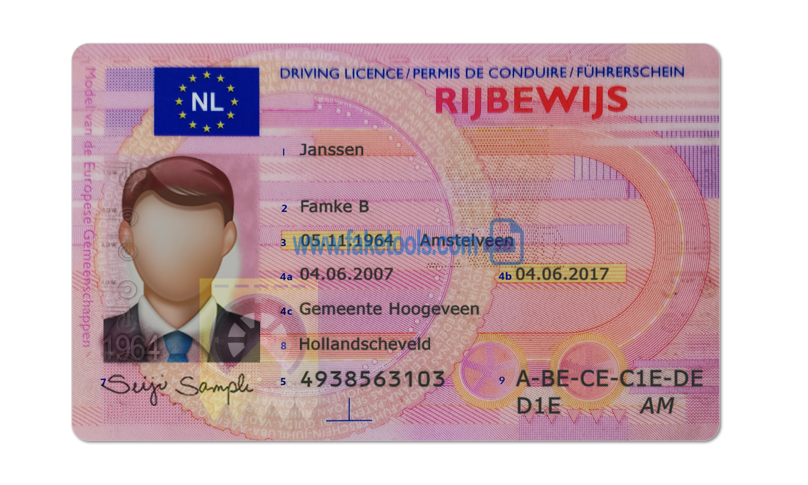 Netherlands driver license Psd Template