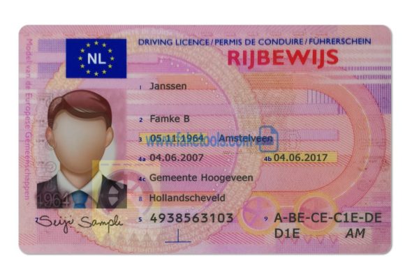 Netherlands driver license Psd Template