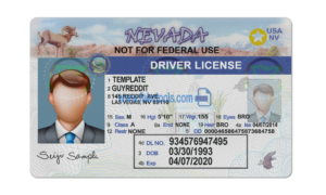 Nevada driver license Psd Template