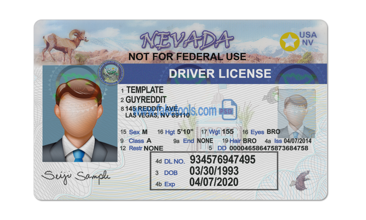 Nevada driver license Psd Template