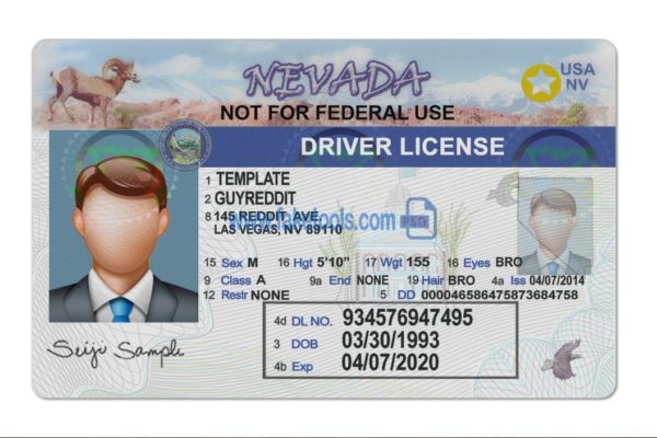 Nevada driver license Psd Template