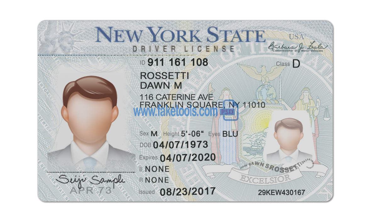 New York driver license Psd Template