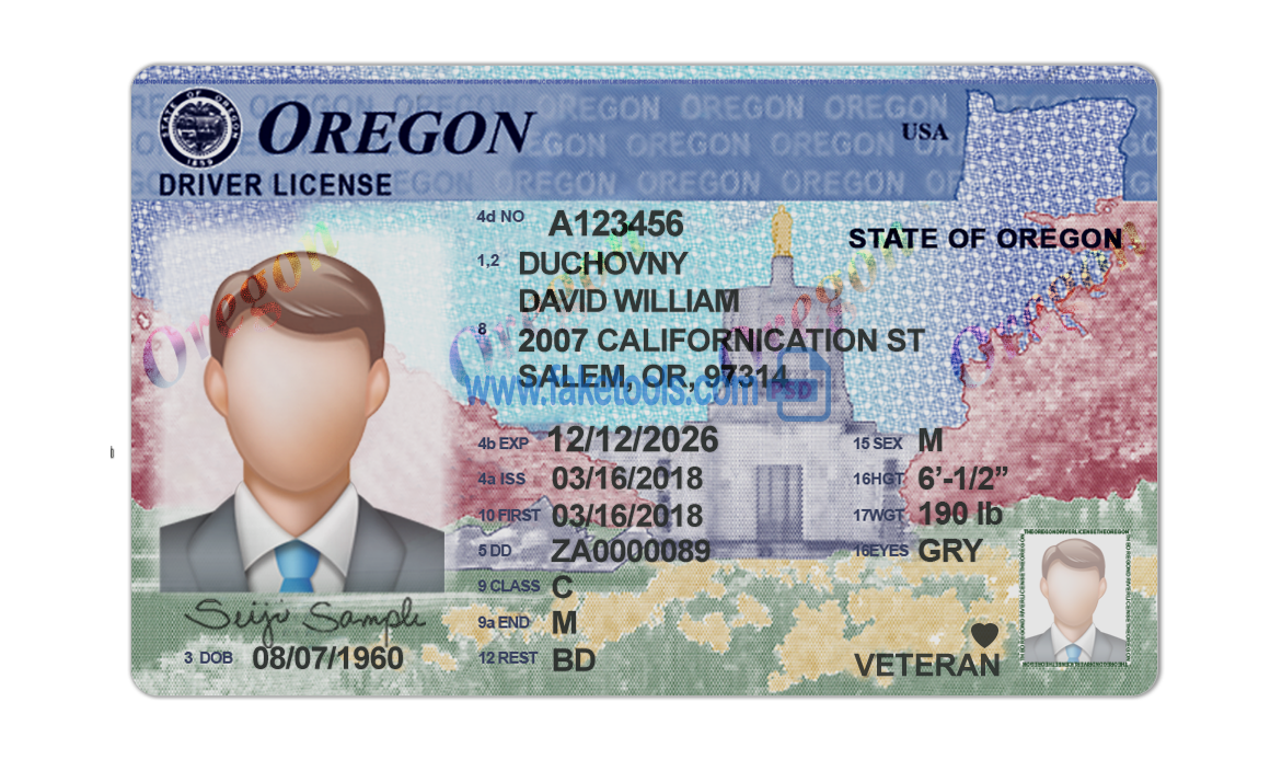 Oregon driver license Psd Template