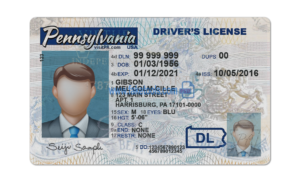 Pennsylvania driver license Psd Template