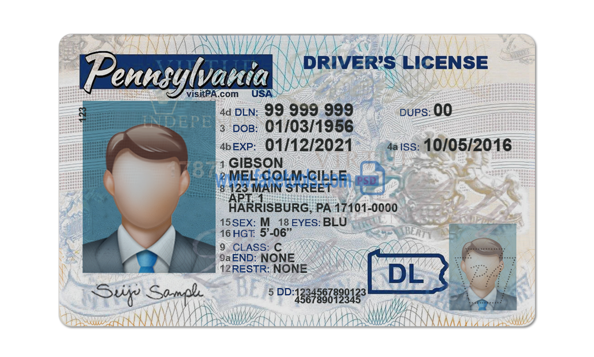 Pennsylvania driver license Psd Template
