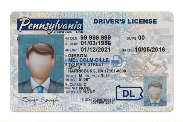 Pennsylvania driver license Psd Template