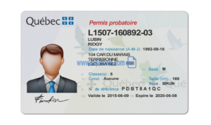 Quebec driver license Psd Template