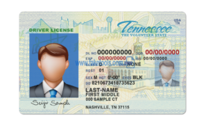 Tennessee driver license Psd Template