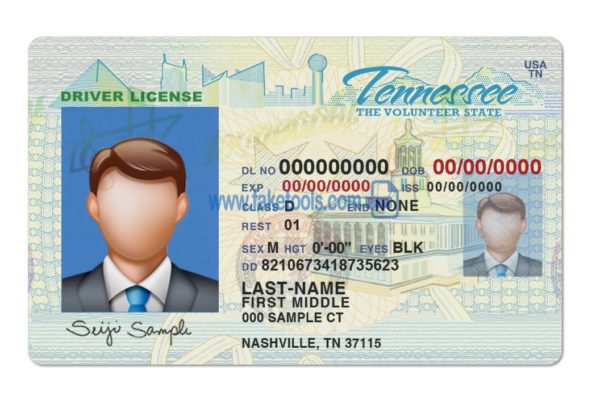 Tennessee driver license Psd Template