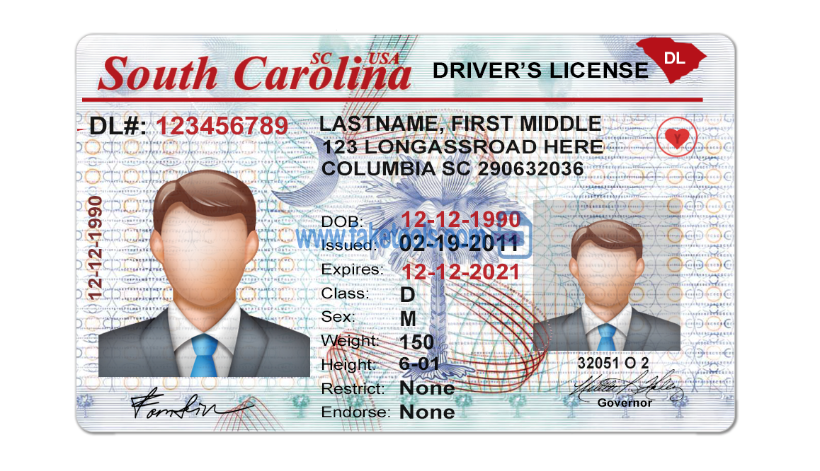 South Carolina driver license Psd Template
